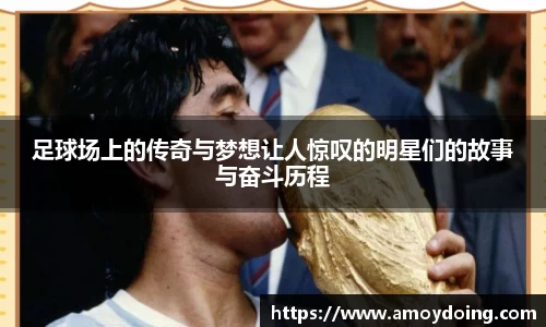 BB贝博官方网站