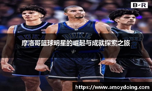 贝博BB艾弗森官网