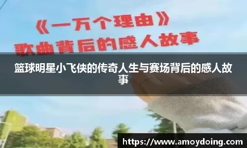 贝博BB艾弗森官网